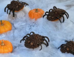 Araignées velues au chocolat