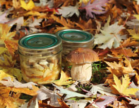 Conserves de cèpes au naturel