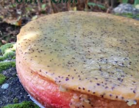 Cheesecake aux pralines roses et gelée de Kiwis