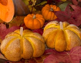 Pain citrouille, Pumpkin bread