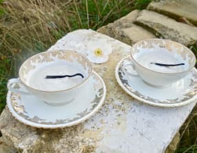 Crème au lait d'amande et vanille