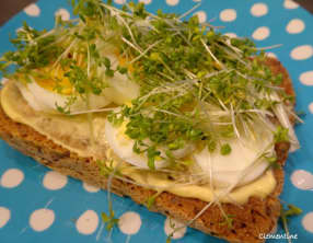 Sandwich à l'œuf avec du peps