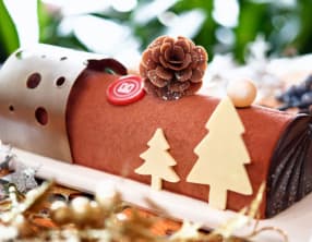 3 bûches de noël originales au Thermomix