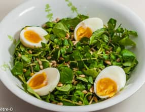 Salade de cresson des guinguettes