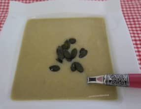Velouté d'endives