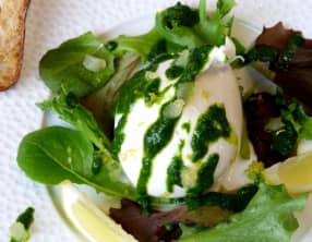 Burrata, coulis de roquette et citron