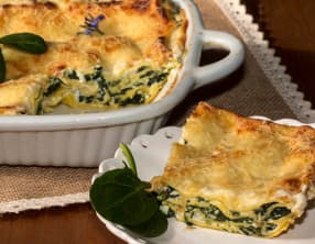 Lasagnes épinards et ricotta