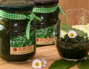 Ail des ours à l'huile d'olive