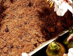 Crumble façon spéculoos, aux poires et au chocolat