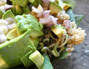 Salade Quinoa, Avocat et Graines germées