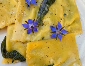 Ravioli à la bourrache