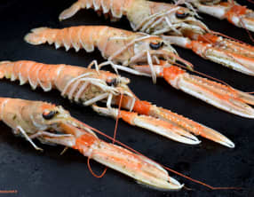 Langoustines au barbecue ou à la plancha