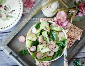 Salade au radis rose