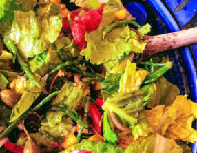 Salade d’été aux salicornes