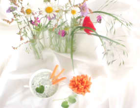 Sauce légère au lierre terrestre