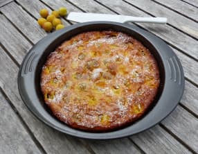 Tôt-fait aux mirabelles