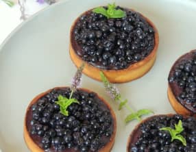 Tartelettes gourmandes panna cotta myrtille