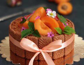 Charlotte Chocolat Blanc Abricot