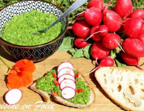 Pesto aux fanes de radis