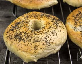 Bagels au pavot