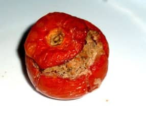 Tomates farcies