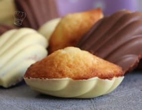 Madeleine en Coque de Chocolat