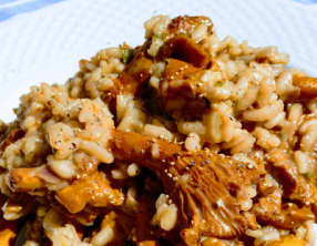 Risotto d’automne aux girolles et gorgonzola