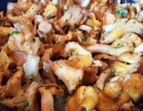 Poêlée de girolles en persillade