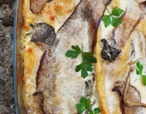 Lasagnes aux cèpes et parmesan