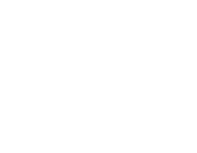 Tarte rustique aux sardines