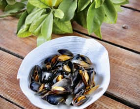 Moules à la moutarde
