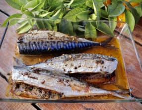 Maquereau à la chermoula