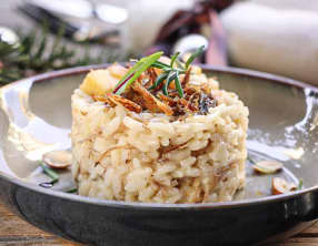 Risotto au confit de canard