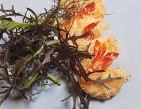 Crevettes en pâte de Kadaïf au citron confit