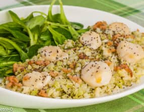 Saint jacques et crevettes au chou romanesco