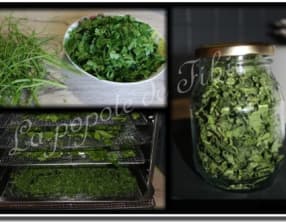 Herbes aromatiques déshydratées