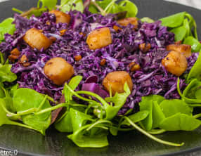 Salade de chou rouge aux noix de pétoncles