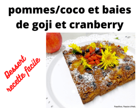 Gâteau aux pommes, coco, baies de goji, cranberry et raisins secs