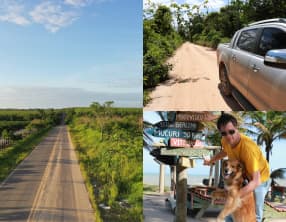 Comment Utiliser la Fève Tonka