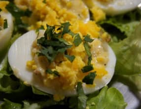 Oeufs mimosa au crabe