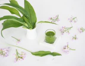 Pesto ail des ours et noix