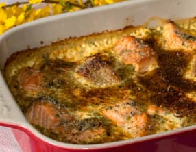 Gratin d’endives et saumon frais, sauce crémée au curry