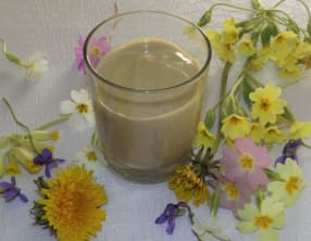 Crème dessert aux fleurs sauvages