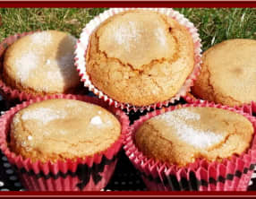 Magdalenas à la vanille