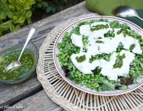 Salade de fèves, petits pois et burrata