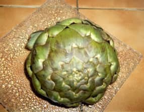 Cuisson des artichauts au micro-onde