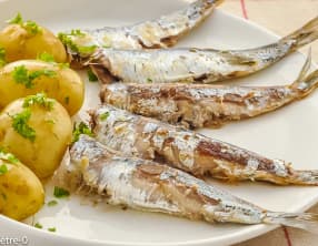 Sardines à la bretonne