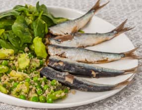 Sardines, semoule aux fèves, petits pois et fines herbes