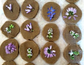 Sablés fleuris au sarrasin et parmesan