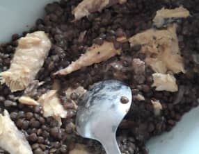 Salade tiède de lentilles aux maquereaux à la moutarde